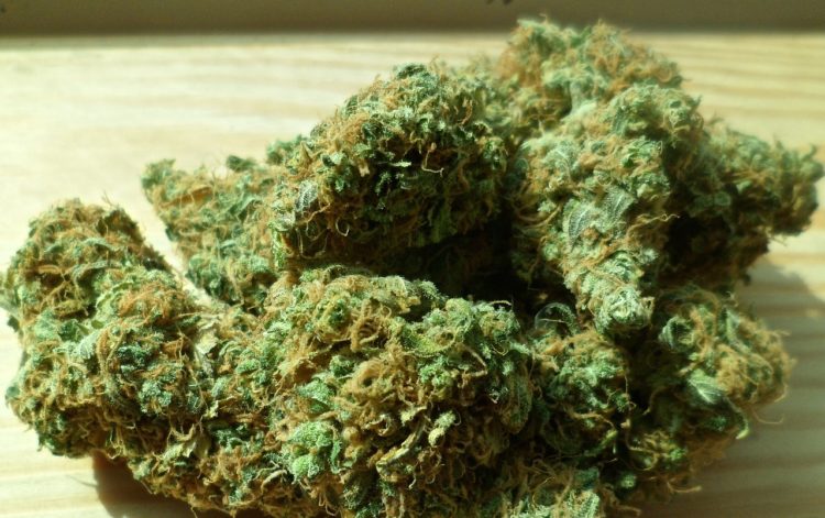 Izrael olakšava pristup medicinskom kanabisu
