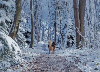 Nedjelja će biti oblačna s kišom, a popodne se očekuje i snijeg