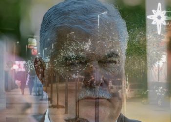 Miro Kralj i širokobriješki ent