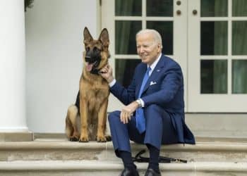 Bidenov pas ugrizao agente najmanje 24 puta