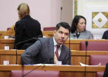 Grmoja: Lijeva opozicija je umjesto antivladinog prosvjeda napravila predizborni skup