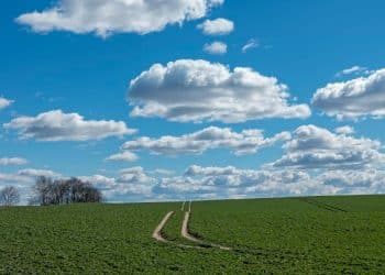 Pretežno sunčano, sa sjeverozapada porast naoblake