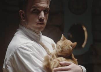 Rekordan broj pasmina na izložbama mačaka – dolazak najavio i mačkoljubac Baby Lasagna