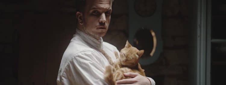 Rekordan broj pasmina na izložbama mačaka – dolazak najavio i mačkoljubac Baby Lasagna