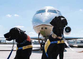 Psi umiruju putnike u istanbulskoj zračnoj luci
