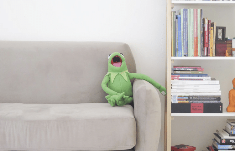 Stvorenje nazvano po žapcu Kermitu nudi tragove o evoluciji vodozemaca