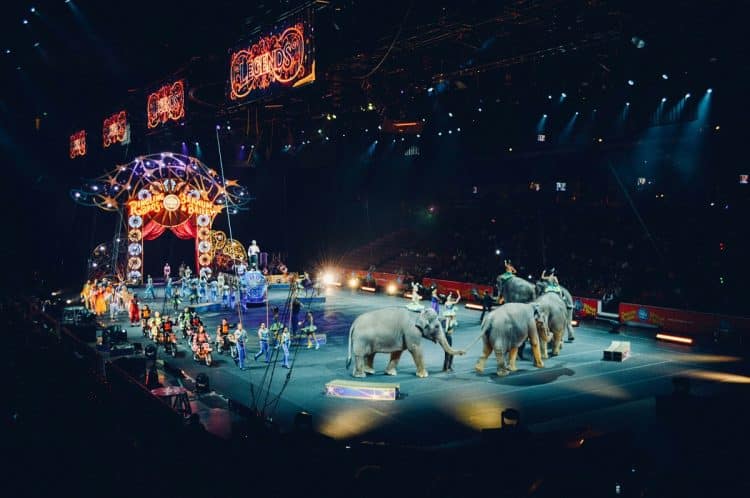 Kino Cirkus gostuje u zagrebačkoj Kleti