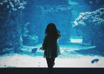 Međunarodni dan muzeja na temu ‘Muzeji za edukaciju i istraživanje’