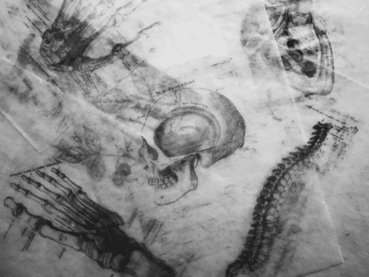 Geološka zajednica odbija uključiti ‘ljudsko doba’ u povijest Zemlje