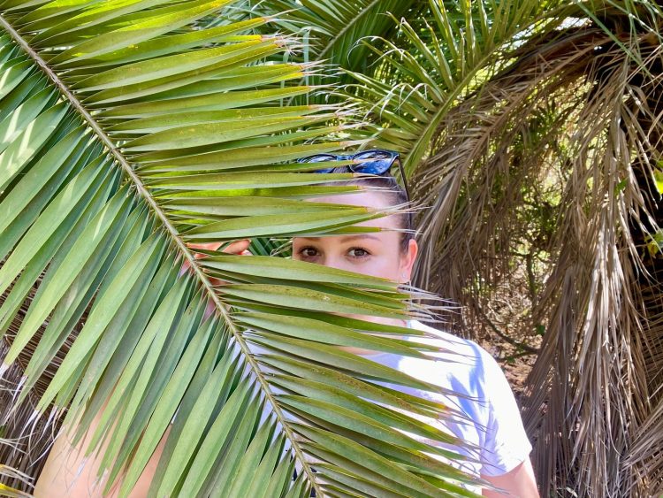 Povratak u tropski Oz – Tenerife iz drugog kuta