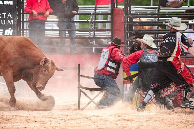 Sevilla: Djeca mlađa od 8 godina besplatno će gledati borbe s bikovima