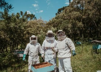 Svaka godina sve teža za pčelare: Moslavački pčelari obilježavaju Svjetski dan pčela