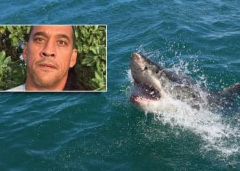 Glumac iz ‘Pirata s Kariba’ Tamayo Perry umro nakon napada morskog psa