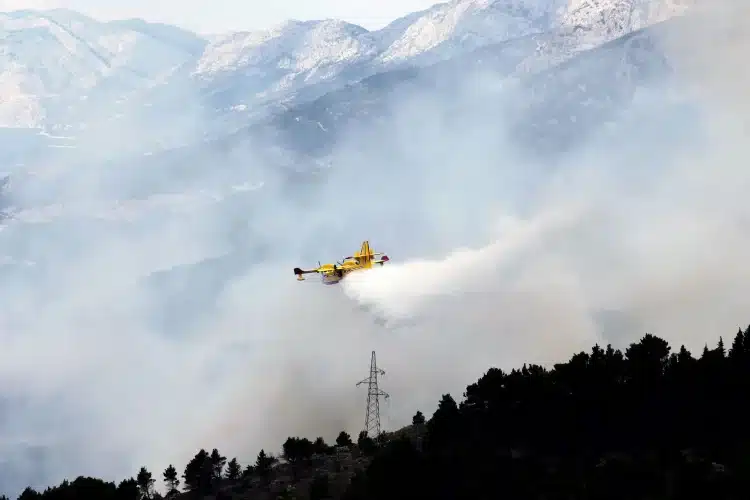 Lokaliziran požar koji je buknuo kod Dubrovnika