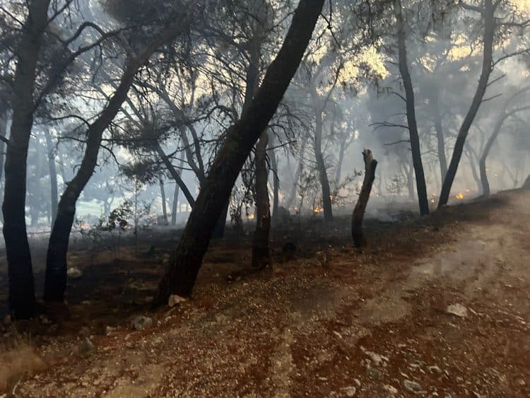Ugašen požar blizu hotela Medena kod Trogira