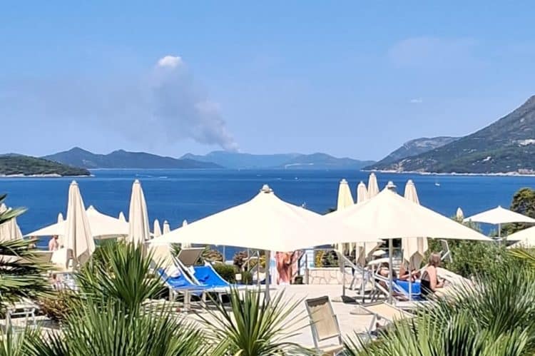 Požar na Pelješcu pod nadzorom, vatrogasci na oprezu zbog vjetra