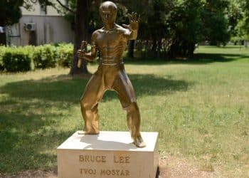 Kradljivac mostarskog Brucea Leeja odlazi iza rešetaka