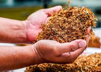 Uskok započeo s uhićenjima ilegalnih trgovaca duhanskim proizvodima