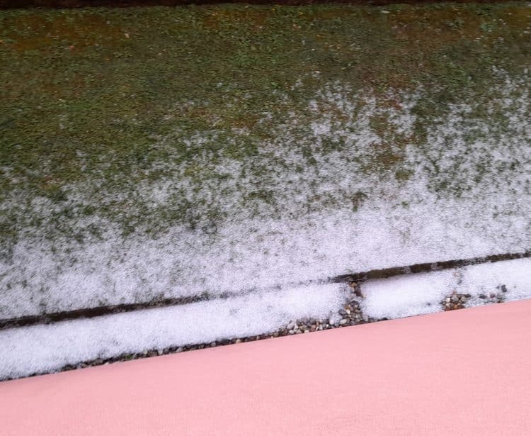 Župan proglasio prirodnu nepogodu za dio Virovitičko-podravske županije