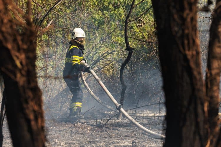 Požar kod Karlobaga na brdu Visibabe