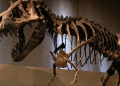 Kostur dinosaura prodan kao jedan od najskupljih u Francuskoj