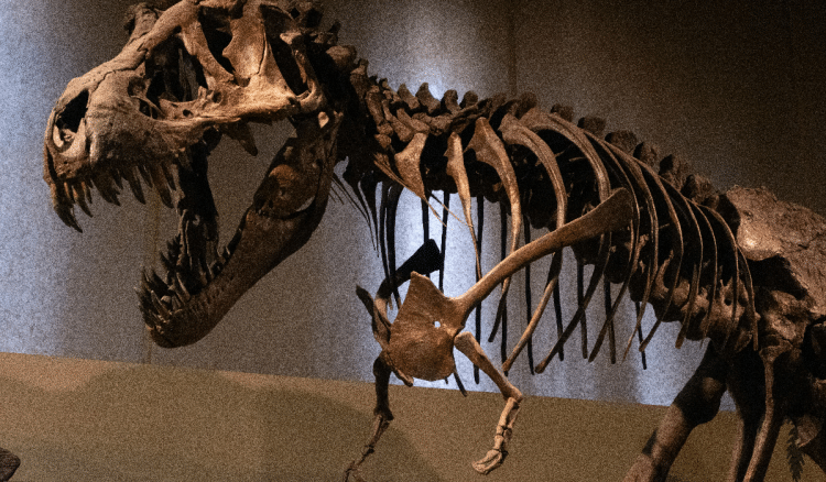 Kostur dinosaura prodan kao jedan od najskupljih u Francuskoj