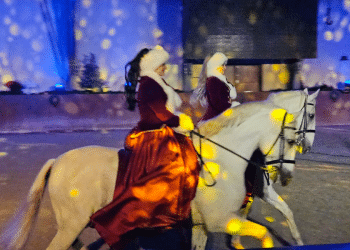 30 bijelih pastuha, 130 izvođača, sve to obilježilo je 11. Božićni bal lipicanaca