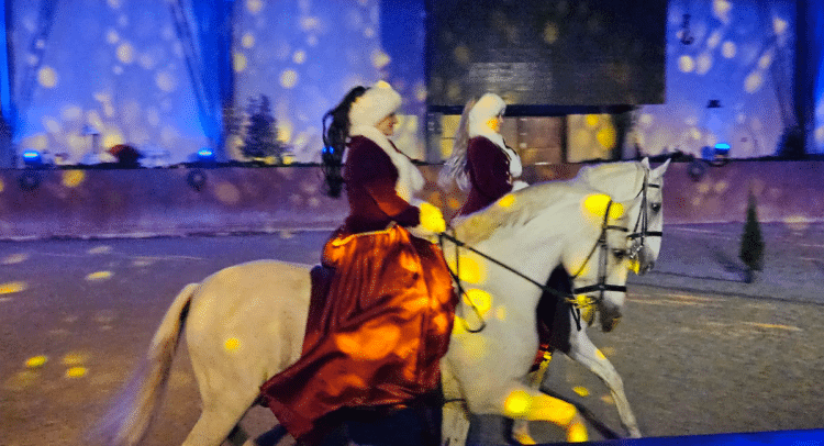 30 bijelih pastuha, 130 izvođača, sve to obilježilo je 11. Božićni bal lipicanaca