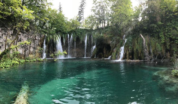 Novi projekt na Plitvicama: Poučne staze i centar za šumski ekosustav