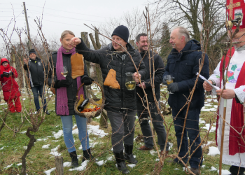 Kutina proslavila vinogradski blagdan sv. Vinka