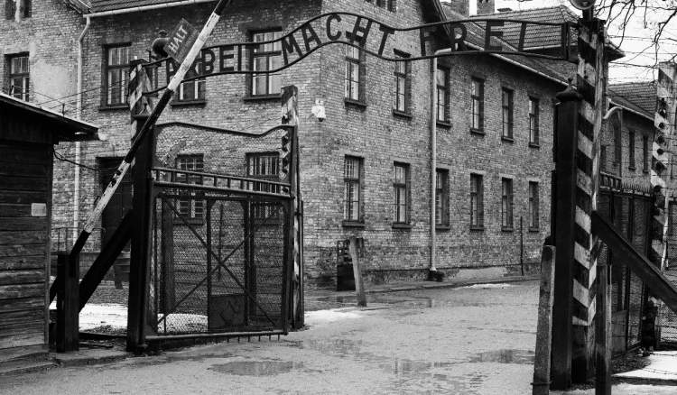 Auschwitz: Obilježavanje 80. godina od oslobođenja