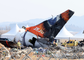 Uzrok najgore zrakoplovne nesreće u Južnoj Koreji su vjerovatno ptice