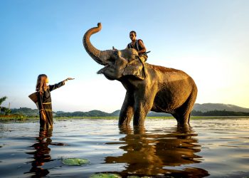 Vrhovni sud Colorada odlučio: Slonovi nisu ljudi