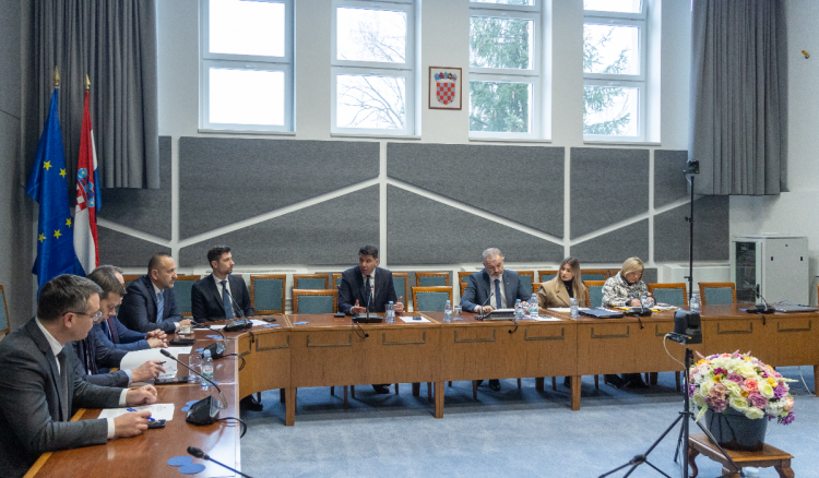 MIP skinuo imunitet zastupnici SDP-a Barbari Antolić Vupori