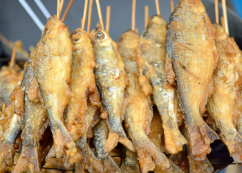 Ljudi su i prije 780.000 godina pekli ribu