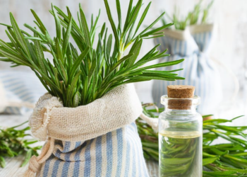 Evo kako pripremiti ružmarinovu vodicu za brži rast kose