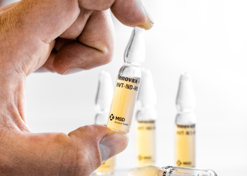 Prvi slučaj ptičje gripe kod ljudi u Meksiku – zaražena trogodišnja djevojčica