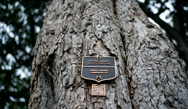 Trump posadio stablo u vrtu Bijele kuće i nazvao ga MAGAnolija prema svom sloganu