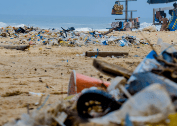 Japanci razvili plastiku koja se raspada u roku od nekoliko sati u morskoj vodi