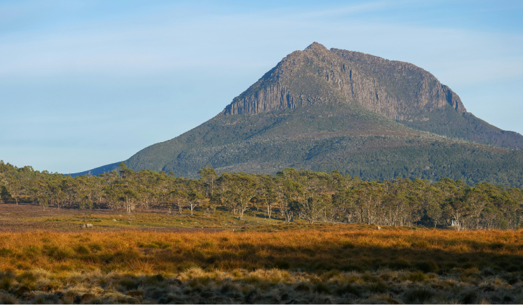 Mlada Njemica preživjela australsku divljinu