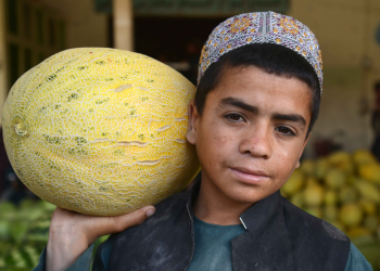 Albanija je postala centar Europe za uzgoj egzotičnog voća