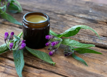 Gavez – čudo prirode koje ne priznaje neizlječivo