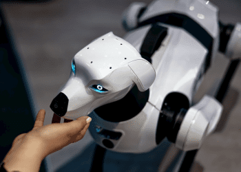 Robotski pas šeta ulicama Meksika i razgovara s ljudima