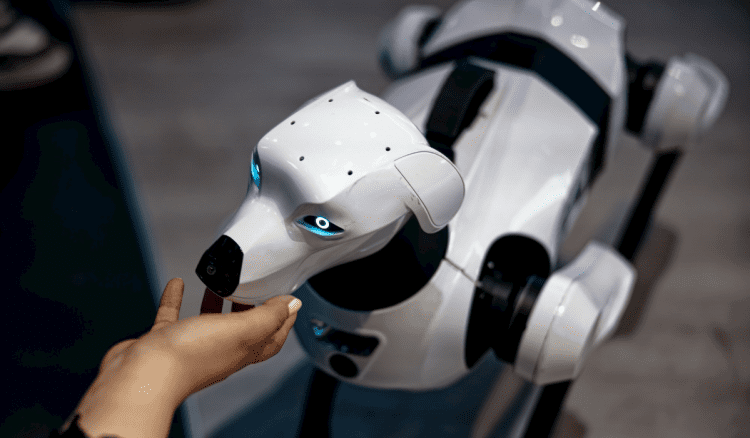 Robotski pas šeta ulicama Meksika i razgovara s ljudima