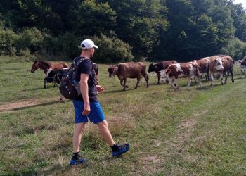 Rekordan odaziv na 7. Hrvatskom festivalu hodanja u Lici