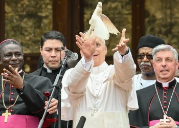 Papa u Africi, Europa u krizi: čuvaju li pastiri stado?