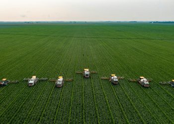 Više papira za sjeme, manje prostora za OPG‑ove? EU usvojila prvu uredbu iz sjemenskog paketa