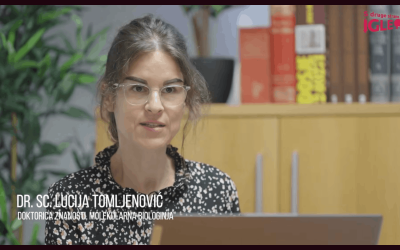 Foto: Screenshot/ Youtube