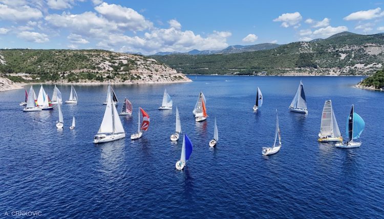 U Kraljevici ovaj vikend: Regata bjeloglavih supova