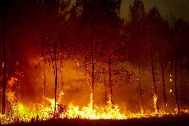 Dramatična noć u Francuskoj: Vatrogasci brane Bordeaux od vatrene stihije